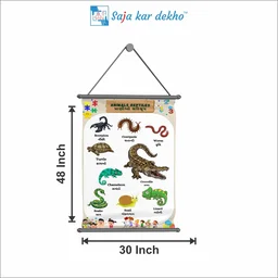 saja kar dekho ANIMALS REPTILES (પ્રાણીઓ સરીસુપ) Wall Handing Poster For Kids | ANIMALS REPTILES With Picture High Quality Weather Resistant HD Wall Poster | 30 x 48 inch | - 30 x 48 inch