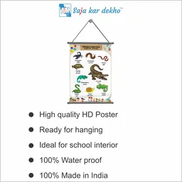 saja kar dekho ANIMALS REPTILES (પ્રાણીઓ સરીસુપ) Wall Handing Poster For Kids | ANIMALS REPTILES With Picture High Quality Weather Resistant HD Wall Poster | 30 x 48 inch | - 30 x 48 inch