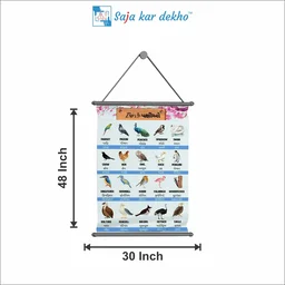 saja kar dekho BIRDS (પક્ષીઓ) Wall Handing Poster For Kids | Famous Birds Names With Picture High Quality Weather Resistant HD Wall Poster | 30 x 48 inch | - 30 x 48 inch