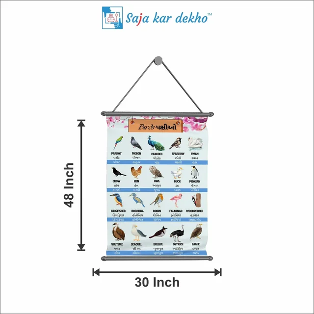 saja kar dekho BIRDS (પક્ષીઓ) Wall Handing Poster For Kids | Famous Birds Names With Picture High Quality Weather Resistant HD Wall Poster | 30 x 48 inch | - 30 x 48 inch