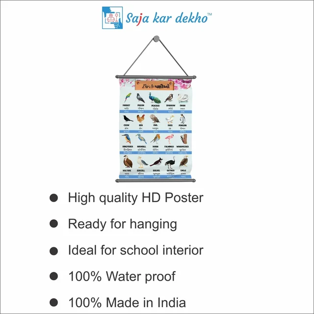 saja kar dekho BIRDS (પક્ષીઓ) Wall Handing Poster For Kids | Famous Birds Names With Picture High Quality Weather Resistant HD Wall Poster | 30 x 48 inch | - 30 x 48 inch