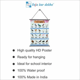 saja kar dekho BIRDS (પક્ષીઓ) Wall Handing Poster For Kids | Famous Birds Names With Picture High Quality Weather Resistant HD Wall Poster | 30 x 48 inch | - 30 x 48 inch