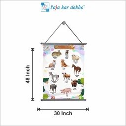 saja kar dekho DOMESTIC ANIMALS Wall Handing Poster For Kids | DOMESTIC ANIMALSE With Picture High Quality Weather Resistant HD Wall Poster | 30 x 48 inch | - 30 x 48 inch