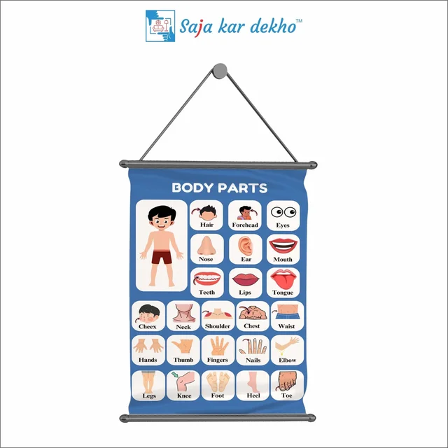 saja kar dekho BODY PARTS Wall Handing Poster For Kids | BODY PARTS With Picture High Quality Weather Resistant HD Wall Poster | 30 x 48 inch | - 30 x 48 inch