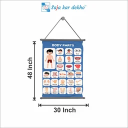 saja kar dekho BODY PARTS Wall Handing Poster For Kids | BODY PARTS With Picture High Quality Weather Resistant HD Wall Poster | 30 x 48 inch | - 30 x 48 inch