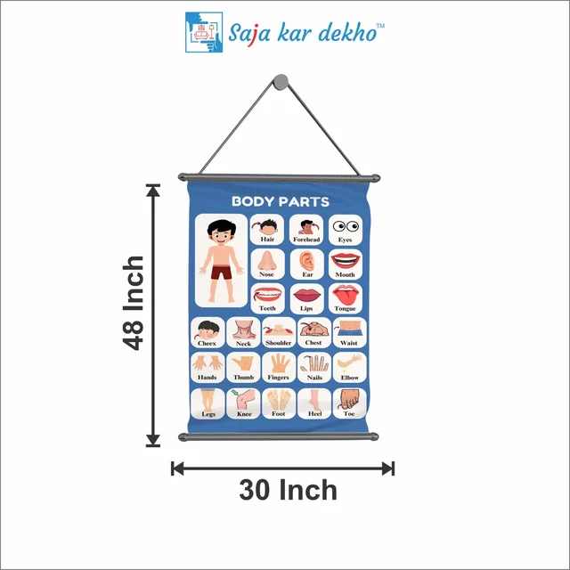 saja kar dekho BODY PARTS Wall Handing Poster For Kids | BODY PARTS With Picture High Quality Weather Resistant HD Wall Poster | 30 x 48 inch | - 30 x 48 inch