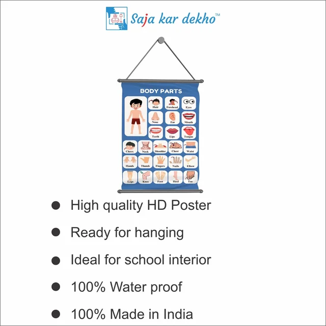 saja kar dekho BODY PARTS Wall Handing Poster For Kids | BODY PARTS With Picture High Quality Weather Resistant HD Wall Poster | 30 x 48 inch | - 30 x 48 inch