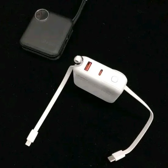 Rena 10000mAH Mini Power Bank