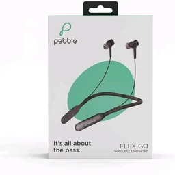 Pebble Flex GO