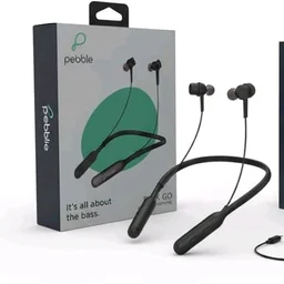 Pebble Flex GO