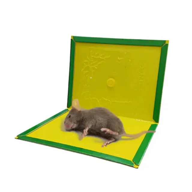 Rat Board
