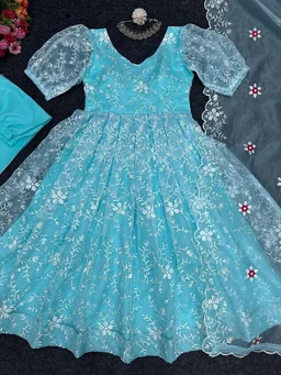 Sky Blue Organza Silk Thread Work Gown - Picton Blue, M(38)
