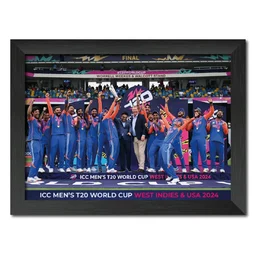 Indian Cricket Team Winning Moment