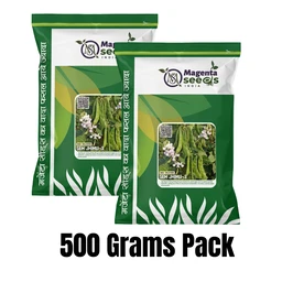 Magenta Seeds Desi Dolichos Seeds SEM 3 JHIMLI-3 - 100 Grams