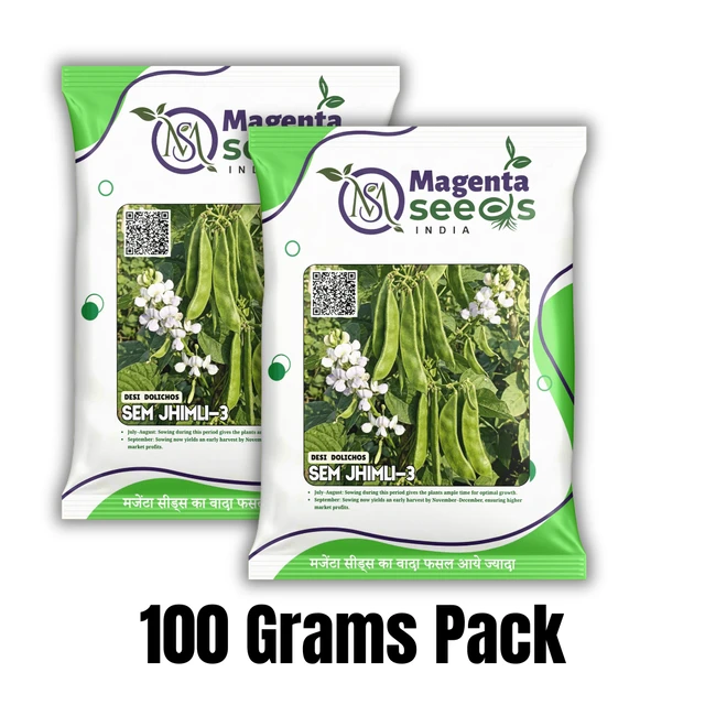 Magenta Seeds Desi Dolichos Seeds SEM 3 JHIMLI-3 - 100 Grams