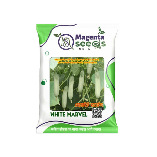 White Marvel – स्पेशल इम्प्रूव्ड देसी खीरा (Desi Khira) Cucumber Seeds | हाई यील्ड | बेस्ट क्वालिटी बीज