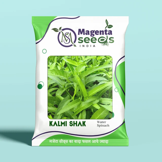 Magenta Seeds Kalmi Saag Seeds_Water Spinach Seeds (Ipomoea aquatica)_Kangkung Seeds | Leafy Vegetable Seeds - 100 Gm X 5 Qty