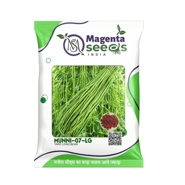 Munni 07- Yard long beans seeds - 100 Grams (LG)