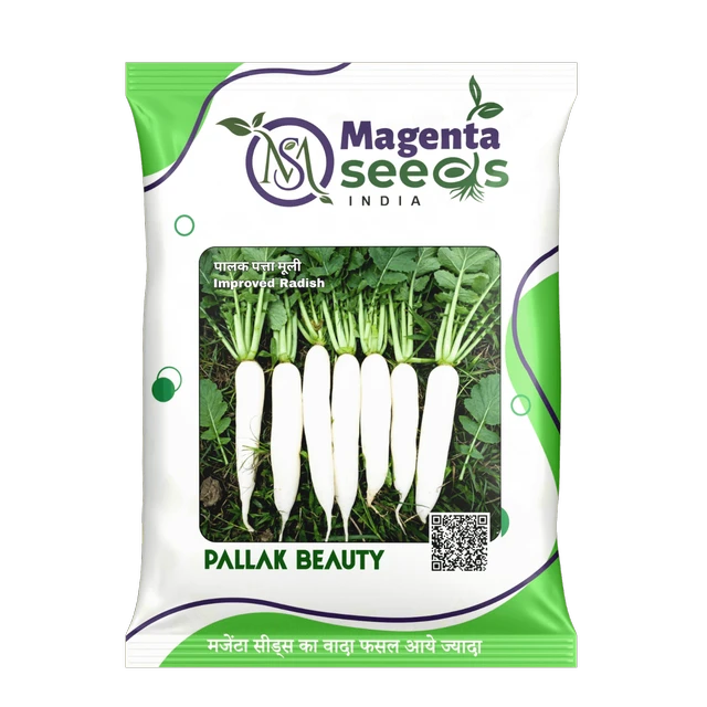 Magenta Seeds PALLAK BEAUTY-Improved Hybrid Radish Seeds - 100 Grams