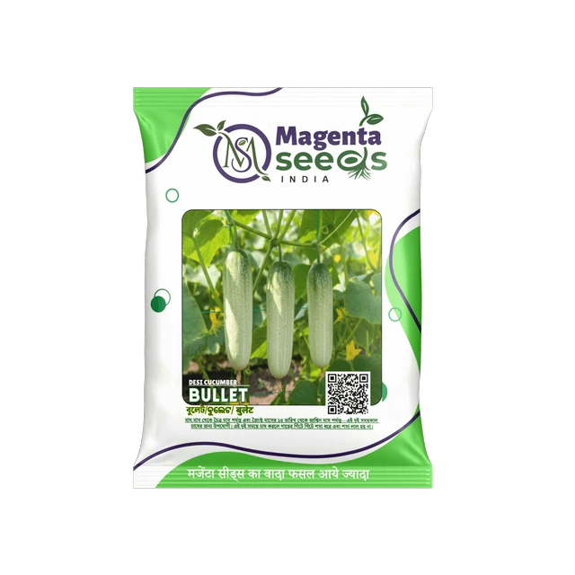 BULLET - DESI KHIRA _CUCUMBER SEEDS