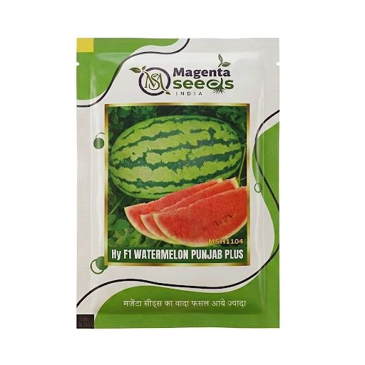 ZAARA-076- Hybrid Watermelon Seeds