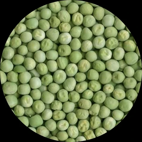 Dry Green Peas | பச்சை பட்டாணி