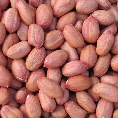 Raw Peanut | பச்சை வேர்க்கடலை