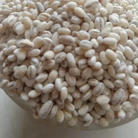 Barle Rice | பார்லி அரிசி
