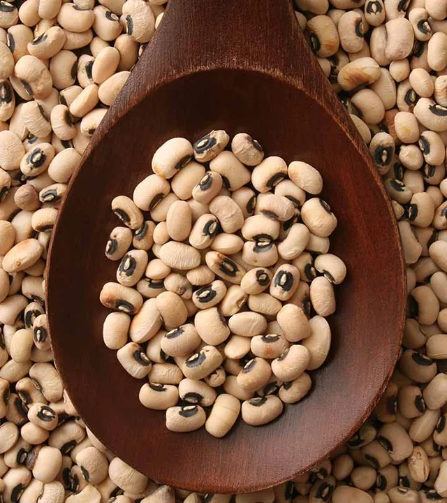 Great Lentil | பெரும் பயிறு