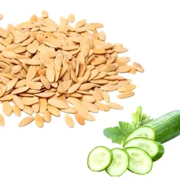 Kakdi (Cucumber) Seeds