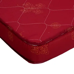 Restomatt Orthopedic Eco Mattress - 78*72
