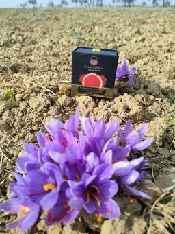Kashmiri Mongra Saffron 1gm - Red, 3 Inch