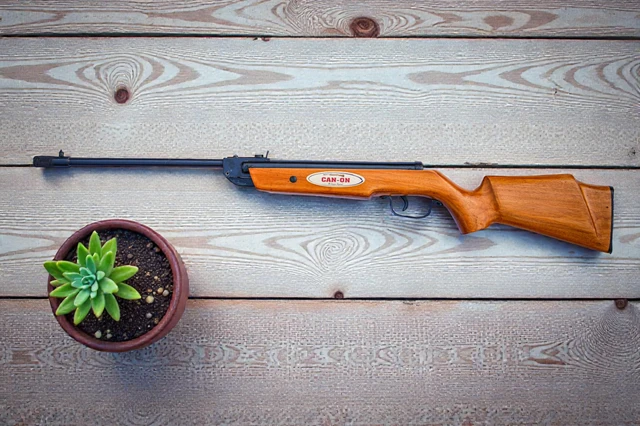 Light Brown Finishing Mod 23 | Air Rifle | 50 Meter Range