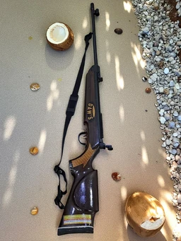 DAWS Air Rifle – Premium Wooden Stock Air Rifle for Target Shooting & Practice | India Shop 360