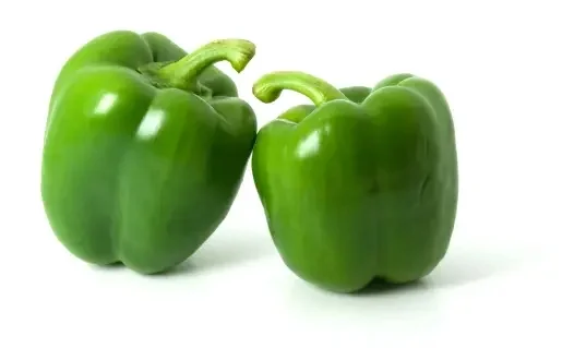 Capsicum (Shimla Mirchi - Kura Mirapakaya) - 1kg