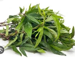 ಗೊಂಗುರಾ -Gongura Pickle - 500Gm