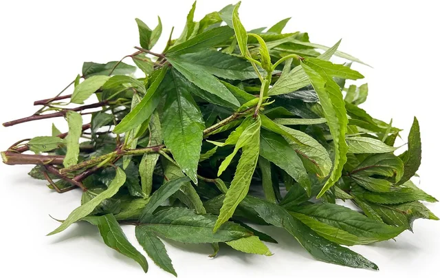 ಗೊಂಗುರಾ -Gongura Pickle - 250Gm