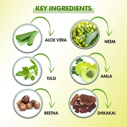 KUDOS AYURVEDA Amla,Reetha Shikakai Shampoo - Kudos - 500ML