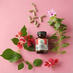 ORGANIC INDIA Sugar Balance Capsule - Organic - 60Capsule