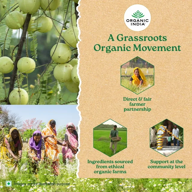 ORGANIC INDIA Tulsi Peppermint Refresh - Organic - 25 Bags