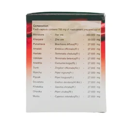 AVN AYURVEDA FORMULA Xerfer Capsule - Avn Ayurveda - 100Capsule