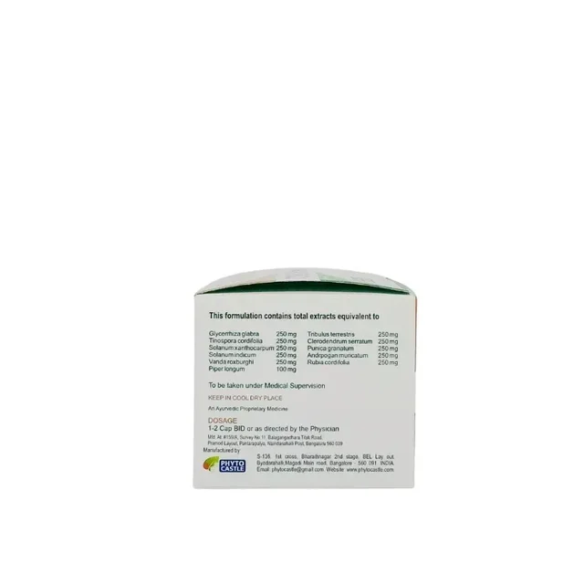 PHYTO CASTLE TORCh Free Capsule - Phyto - 100 Capsules