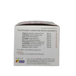 PHYTO CASTLE Nanonut Capsule - Phyto - 100 Capsules