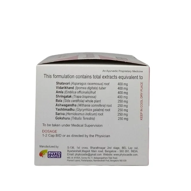PHYTO CASTLE Nanonut Capsule - Phyto - 100 Capsules