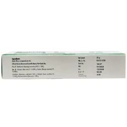 NAGARJUNA Pilorid Ointment - Nagarjuna - 20g