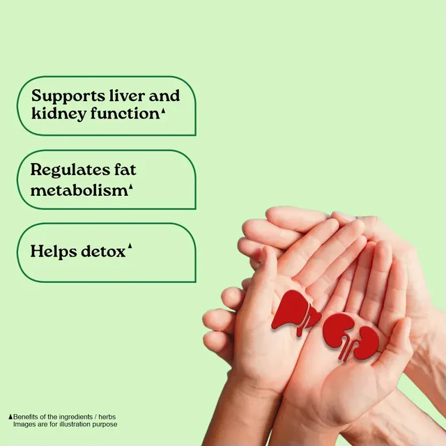 ORGANIC INDIA Liver Kidney Care Capsule - Organic - 60Capsule