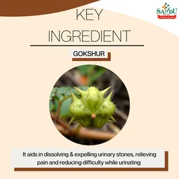 SANDU BROTHERS Gokshur Kadha - Sandu - 200Ml
