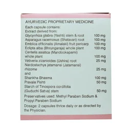 SOLUMIKS HERBACEUTICALS Plantacid Capsule - Solumik - 10 Capsules