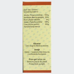 SRUSHTI HERBAL Infex Syrup - Srushti - 200Ml