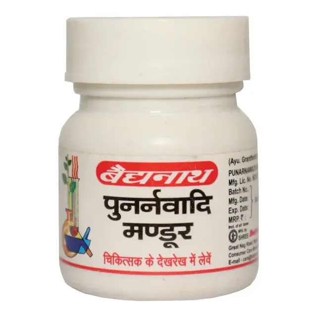 BAIDYANATH Punarnavadi Mandur - Baidyanath - 40Tablet